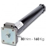 Motoriduttore con Sblocco Manuale - 80 Nm | 160 Kg Motoriduttore con Sblocco Manuale - 80 Nm | 160 Kg