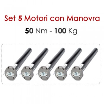 Pacchetto 5 Motoriduttori con Sblocco - 50 Nm | 100 Kg Pacchetto 5 Motoriduttori con Sblocco - 50 Nm | 100 Kg