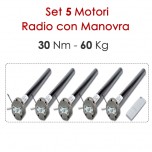 Pacchetto 5 Motoriduttori Wireless con Sblocco - 30 Nm Pacchetto 5 Motoriduttori Wireless con Sblocco - 30 Nm