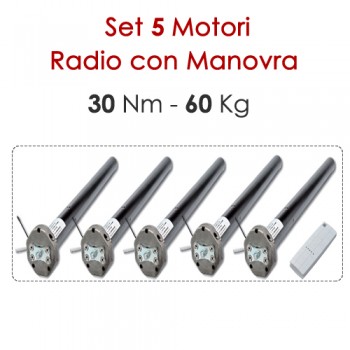Pacchetto 5 Motoriduttori Wireless con Sblocco - 30 Nm Pacchetto 5 Motoriduttori Wireless con Sblocco - 30 Nm
