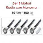 Pacchetto 5 Motoriduttori Wireless con Sblocco - 50 Nm | 100 Kg Pacchetto 5 Motoriduttori Wireless con Sblocco - 50 Nm | 100 Kg