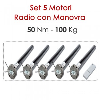 Pacchetto 5 Motoriduttori Wireless con Sblocco - 50 Nm | 100 Kg Pacchetto 5 Motoriduttori Wireless con Sblocco - 50 Nm | 100 Kg