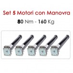 Pacchetto 5 Motoriduttori con Sblocco - 80 Nm | 160 Kg Pacchetto 5 Motoriduttori con Sblocco - 80 Nm | 160 Kg