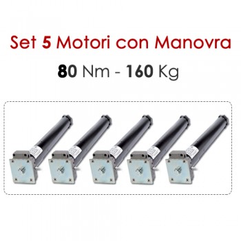 Pacchetto 5 Motoriduttori con Sblocco - 80 Nm | 160 Kg Pacchetto 5 Motoriduttori con Sblocco - 80 Nm | 160 Kg