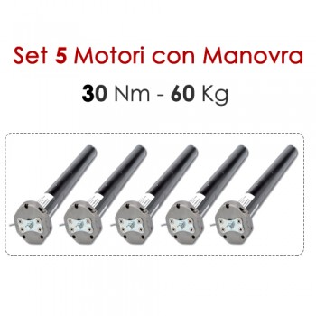 Pacchetto 5 Motoriduttori con Sblocco - 30 Nm | 60 Kg Pacchetto 5 Motoriduttori con Sblocco - 30 Nm | 60 Kg