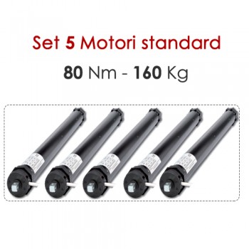 Motoriduttori Avvolgibili Tende - 80 Nm | 160 Kg Motoriduttori Avvolgibili Tende - 80 Nm | 160 Kg