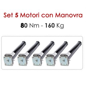 Set 5 Motori tubolari con Manovra di soccorso - 80 Nm | 160 Kg