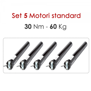 Kit di 5 motori per tapparelle - 30 Nm | 60 Kg